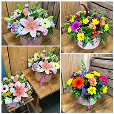 Hatbox Arrangement