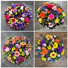 Vibrant Florist Choice Posy