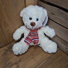 Bear 3- Pudsey