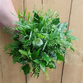 fwthumb20190831_190218.jpg